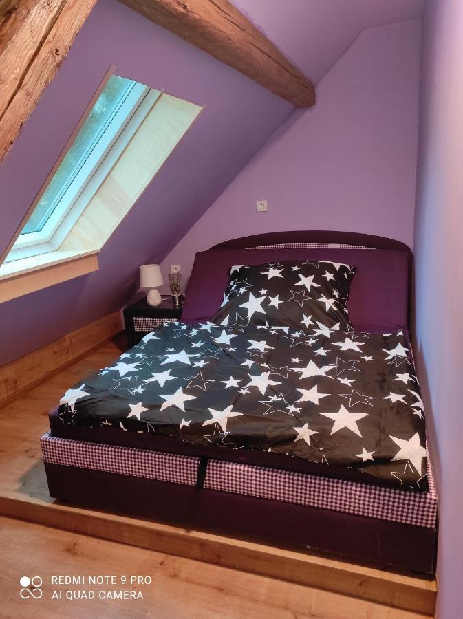 Apartmán u Rybáků v Pošumaví Volenice  Exteriér fotografie
